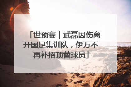 世预赛｜武磊因伤离开国足集训队，伊万不再补招顶替球员