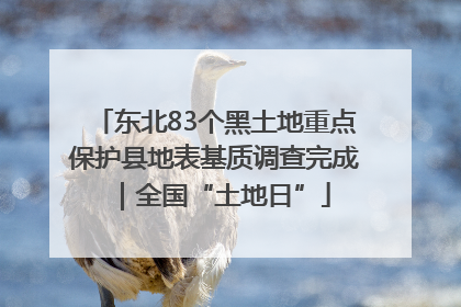 东北83个黑土地重点保护县地表基质调查完成｜全国“土地日”