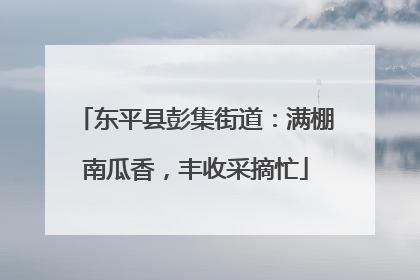 东平县彭集街道：满棚南瓜香，丰收采摘忙