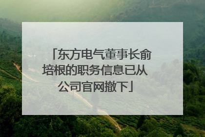 东方电气董事长俞培根的职务信息已从公司官网撤下