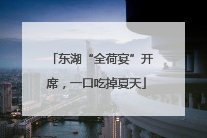 东湖“全荷宴”开席，一口吃掉夏天