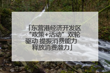 东营港经济开发区“政策+活动”双轮驱动 提振消费能力 释放消费潜力