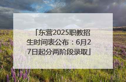 东营2025职教招生时间表公布：6月27日起分两阶段录取