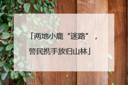 两地小鹿“迷路”，警民携手放归山林