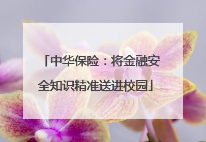 中华保险：将金融安全知识精准送进校园