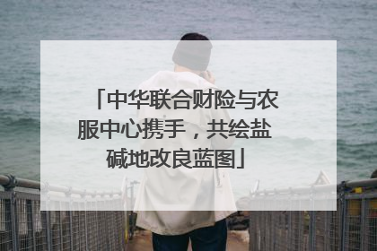 中华联合财险与农服中心携手，共绘盐碱地改良蓝图