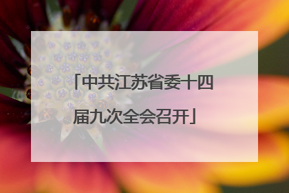 中共江苏省委十四届九次全会召开
