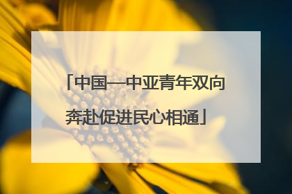 中国—中亚青年双向奔赴促进民心相通