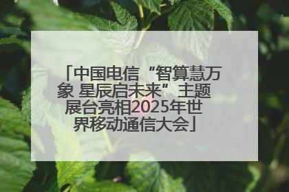 中国电信“智算慧万象 星辰启未来”主题展台亮相2025年世界移动通信大会