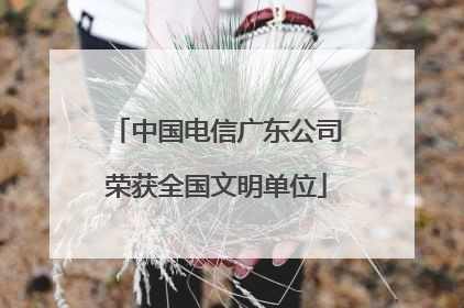 中国电信广东公司荣获全国文明单位