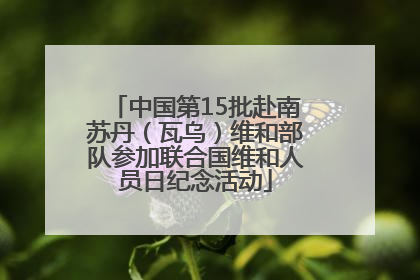 中国第15批赴南苏丹（瓦乌）维和部队参加联合国维和人员日纪念活动