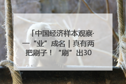 中国经济样本观察·一“业”成名｜真有两把刷子！“刷”出30亿级“颜值经济”