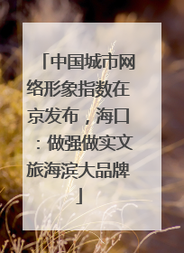 中国城市网络形象指数在京发布，海口：做强做实文旅海滨大品牌