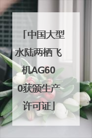 中国大型水陆两栖飞机AG600获颁生产许可证