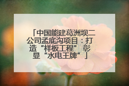 中国能建葛洲坝二公司孟底沟项目：打造“样板工程” 彰显“水电王牌”