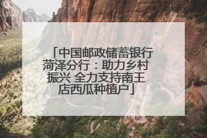 中国邮政储蓄银行菏泽分行：助力乡村振兴 全力支持南王店西瓜种植户