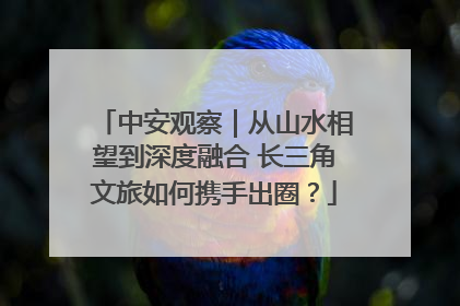 中安观察｜从山水相望到深度融合 长三角文旅如何携手出圈？