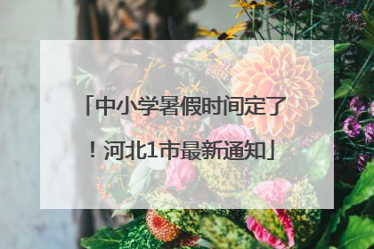 中小学暑假时间定了！河北1市最新通知