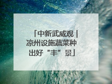 中新武威观｜凉州设施蔬菜种出好“丰”景