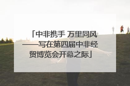 中非携手 万里同风——写在第四届中非经贸博览会开幕之际