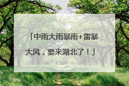 中雨大雨暴雨+雷暴大风，要来湖北了！