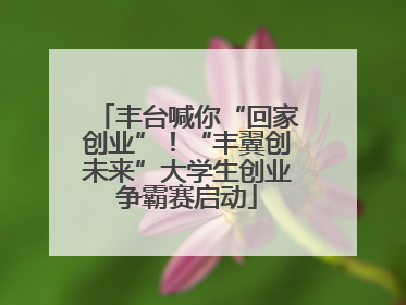 丰台喊你“回家创业”！“丰翼创未来”大学生创业争霸赛启动