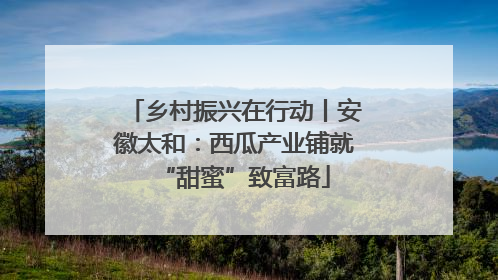 乡村振兴在行动丨安徽太和：西瓜产业铺就“甜蜜”致富路