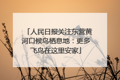 人民日报关注东营黄河口候鸟栖息地：更多飞鸟在这里安家