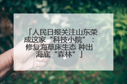 人民日报关注山东荣成这家“科技小院”：修复海草床生态 种出海底“森林”