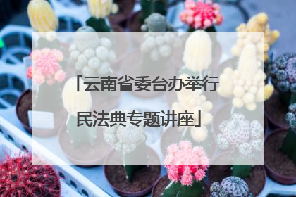 云南省委台办举行民法典专题讲座