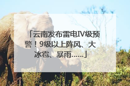 云南发布雷电Ⅳ级预警！9级以上阵风、大冰雹、暴雨……