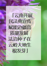 云南开展民法典宣传赋能边疆高质量发展 法治种子在云岭大地生根发芽