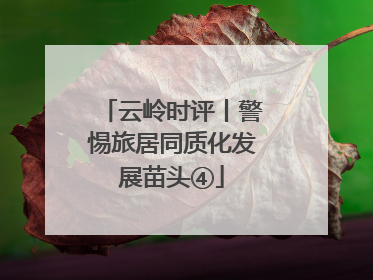 云岭时评丨警惕旅居同质化发展苗头④