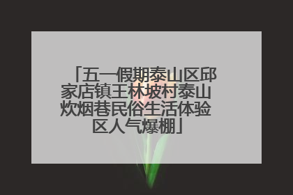五一假期泰山区邱家店镇王林坡村泰山炊烟巷民俗生活体验区人气爆棚