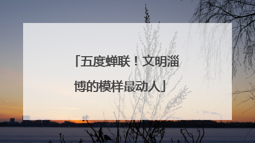 五度蝉联！文明淄博的模样最动人