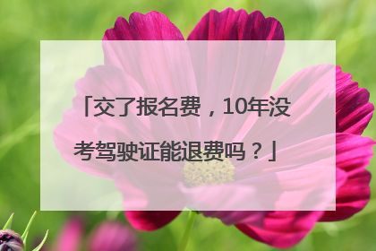 交了报名费，10年没考驾驶证能退费吗？