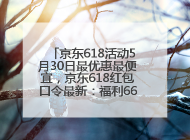京东618活动5月30日最优惠最便宜，京东618红包口令最新：福利666，抢加码红包