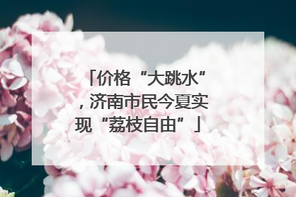 价格“大跳水”，济南市民今夏实现“荔枝自由”
