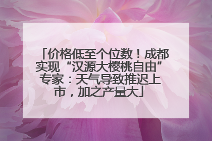 价格低至个位数！成都实现“汉源大樱桃自由” 专家：天气导致推迟上市，加之产量大