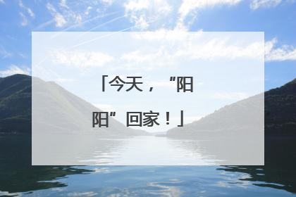 今天，“阳阳”回家！