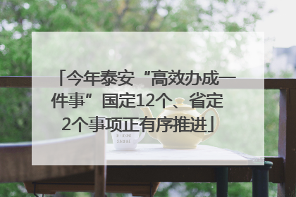 今年泰安“高效办成一件事”国定12个、省定2个事项正有序推进