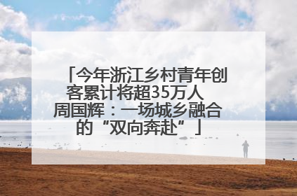 今年浙江乡村青年创客累计将超35万人 周国辉：一场城乡融合的“双向奔赴”