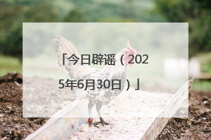 今日辟谣（2025年6月30日）