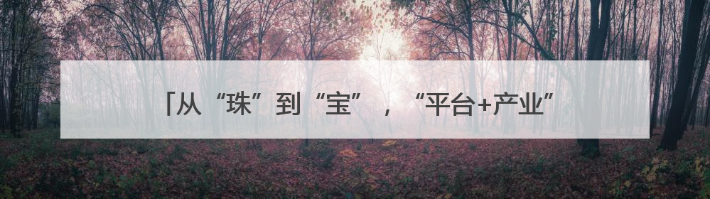 从“珠”到“宝”，“平台+产业”双向赋能行动助力诸暨珍珠升级蜕变