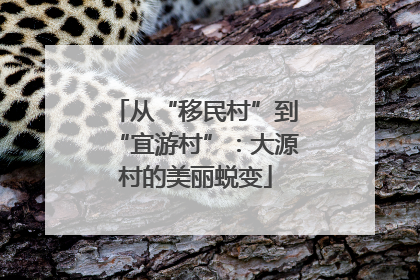 从“移民村”到“宜游村”：大源村的美丽蜕变
