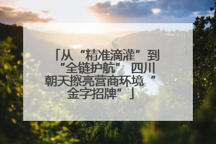 从“精准滴灌”到“全链护航” 四川朝天擦亮营商环境“金字招牌”