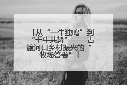 从“一牛独鸣”到“千牛共舞”——古渡河口乡村振兴的“牧场答卷”