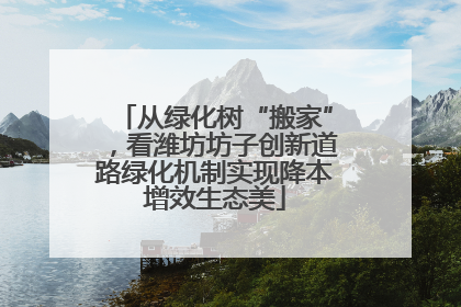 从绿化树“搬家”，看潍坊坊子创新道路绿化机制实现降本增效生态美
