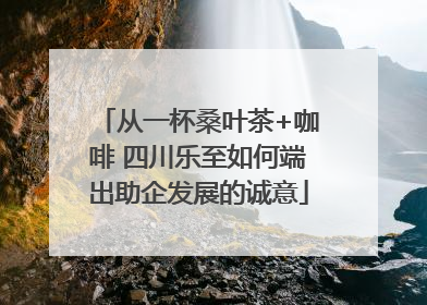 从一杯桑叶茶+咖啡 四川乐至如何端出助企发展的诚意