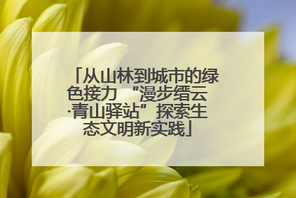 从山林到城市的绿色接力 “漫步缙云·青山驿站”探索生态文明新实践
